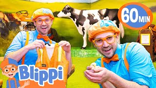 Blippis Occupation Exploration  Blippi  Educational Videos for Kids [upl. by Heigl]