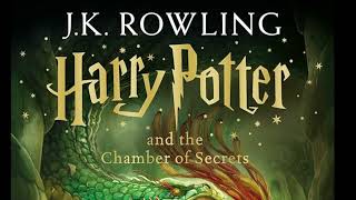 HARRY POTTER and the CHAMBER OF SECRETS Chapter 18The Dobbys Reward harrypotter audiobook [upl. by Nitaf268]