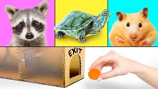 3 Hilarious Pets And 3 Smart Crafts for Kids [upl. by Llet]