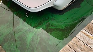 Algae blooms are closing Mississippi Coast beaches [upl. by Crandall]