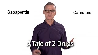 A Tale of Two Drugs THC amp GABApentin Dr Ian Mitchell 2019 CannSolve Summit  Cannabinoids amp Pain [upl. by Brothers]