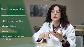 USF Health Minute with Dr Sandra Gompf Vibrio Vulnificus or quotflesheating bacteriaquot [upl. by Cassil991]