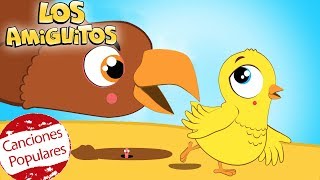 El pollito Amarillito y muchas máss Cancion Infantil  Los Amiguitos [upl. by Nnylyoj232]