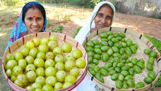 আমলকি সাথে জলপাইয়ের সেরা দুটো আচার রেসিপি  Homemade easy Amla amp Olive Pickle Recipe village style [upl. by Hephzipah701]