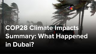 COP28 2023 Summary What Happened in Dubai [upl. by Ahsikan]