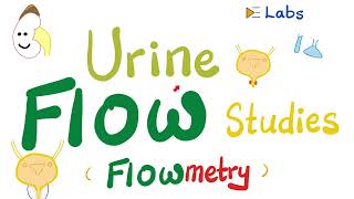 Urinary Incontinence amp Urine retention  Urine flow studies Flowmetry  Urodynamic StudiesUrology [upl. by Acirt]