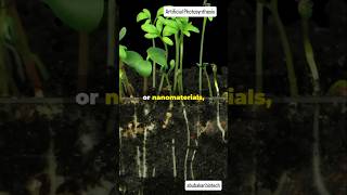 Artificial Photosynthesis biology biotechnology youtube shortvideo shorts short facts [upl. by Susann]