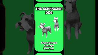 DOG video footage animation on a GREEN SCREEN [upl. by Oigroeg]