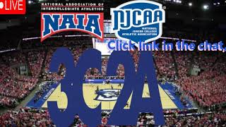 Johnson County Community College vs St Thomas University JV Div 2  NJCAA Womens Basketball 2024 [upl. by Leonard]