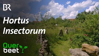 Hortus Insectorum [upl. by Khanna]