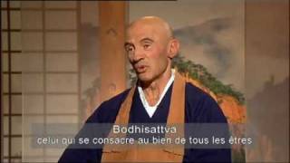 Sagesses Bouddhistes  Le 2ieme voeu du bodhisattva [upl. by Iteerp]