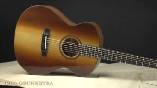 Bedell Guitars 1964 Orchestra Acoustic Guitar [upl. by Temp430]