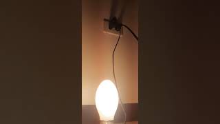 self ballasted mercury lamp warmup [upl. by Omiseno435]