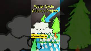 How to make water cycle working model shortvideo shorts shortsfeed diy scinceproject [upl. by Avehstab]