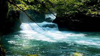 Calming Blue MOUNTAIN STREAM Relaxing NATURE Sounds White Noise for Stress Relief and Sleeping [upl. by Kucik632]