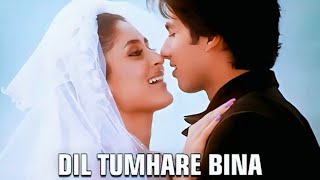 Dil Tumhare Bina  Himesh Reshammiya  Alka Yagnik  36 China Town [upl. by Deirdra]