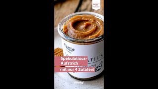 😋🤩 SpekulatiusAufstrich aus nur 4 Zutaten  Thermomix® Rezept [upl. by Aleekat]