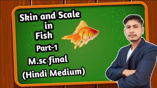 Skin and Scale in fish Part 1 Msc final  Hindi Medium [upl. by Fidel]