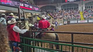 Ft Worth Stockyards Championship Rodeo Amazing Bronco Rider [upl. by Smiga387]