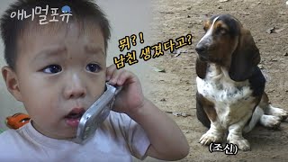 응도네 강아지가 연애를 모솔 탈출한 강아지 덤보 ㅋㅋ l 돌아온 응도 EP49 l KBS 주주클럽 031013 방송 [upl. by Mapel]