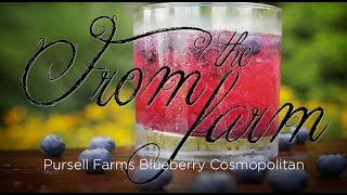 Fresh From Pursell Farms  Blueberry Cosmopolitan [upl. by Gabbi]