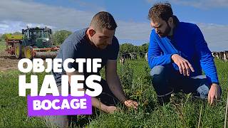 Agroforesterie  bocage et plantation de haies multiusages [upl. by Ellehs849]