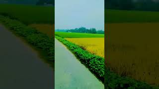 Dinajpur Chirirbandar [upl. by Nylyrehc215]