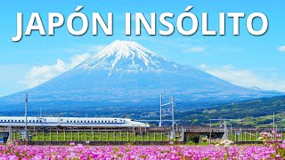 JAPÓN INSÓLITO  Las maravillas más alucinantes de Japón [upl. by Ahsela614]