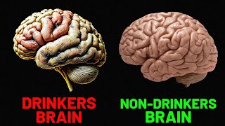 How Alcohol Affects The Human Brain SCIENCE EXPLAINED [upl. by Anila945]