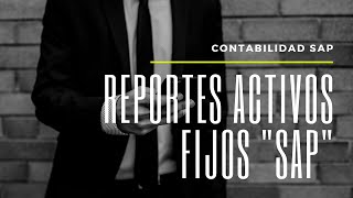 Reporte activos fijos en SAP quotContabilidadquot [upl. by Watt84]