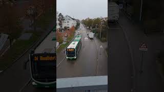 Buslinie 34 in Riehen Niederholz bus linienbus bvb busspotting mercedesbus shorts yt [upl. by Atiuqan]