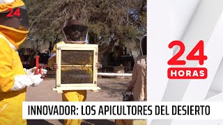 Innovador proyecto Los Apicultores del Desierto  24 Horas TVN Chile [upl. by Giddings]