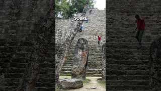 encuentran CUIDAD MAYA en Campeche P2 video curiosidades viralvideo reels shorts [upl. by Latrice]