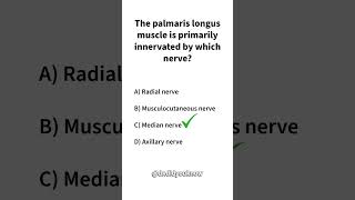 The palmaris longus muscle is primarily innervated by which nerve nerves [upl. by Quiteria474]