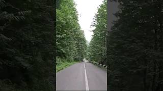 Driving on Road  4K Nature Video  Road Drive  driving in nature 4k  nature driving 4k [upl. by Shamrao774]