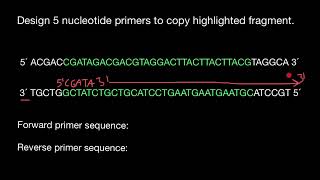 Forward and Reverse Primer design for beginners [upl. by Refannej643]
