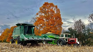 John Deere 9500 Combining Corn 2024 Pt II [upl. by Niehaus746]