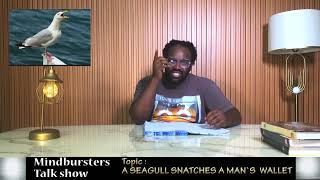 Mindbursters news there is gistA SEAGULL SNATCHES A MANS WALLET [upl. by Dorice]