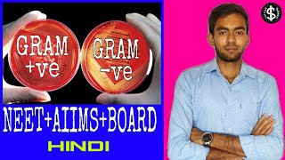 Gram Positive vs Gram Negative Bacteria in Hindi Biology class 11 chapter 2NeetAiimsBoard [upl. by Emlynne]