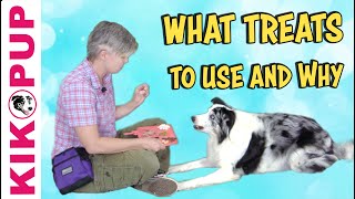 What treats to use and why  Professional Dog Training [upl. by Sigvard]