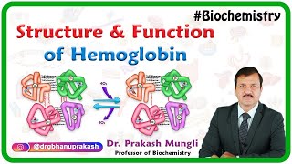 Hemoglobin  Structure and Types [upl. by Perry399]