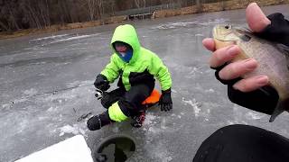 NH Ice fishing 2019  Multispecies [upl. by Demott]