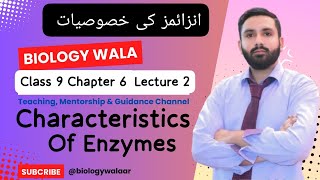 Class 9  Chapter 6  Lecture 2 Topic Characteristics of Enzymes  Abdur Rehman [upl. by Cello151]