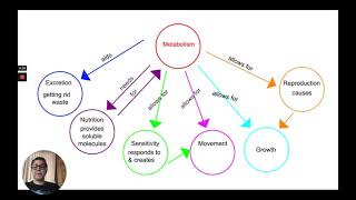 IGCSE Biology Cambridge syllabus 111 b [upl. by Lavena563]