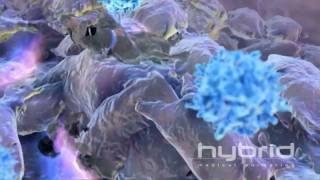 Immunemediated Tumor Destruction HD [upl. by Alludba]