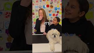 Candy thats dog food 🤔 shorts short youtubeshorts youtubeshort funny fyp viralvideo viral [upl. by Selec]