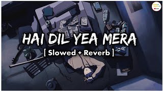 Hai Dil Yea Mera  Slowed amp Reverb  Sad Lofi song  Arijit Singh  Hate Story 2 🎧😔 [upl. by Adnilev]