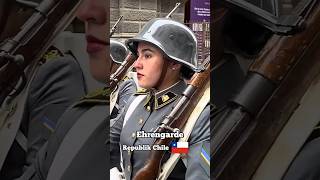 Chile vs Deutschland  die Ehrengarde 🦅🇩🇪wachbataillon bundeswehr militär tradition garde [upl. by Landan760]