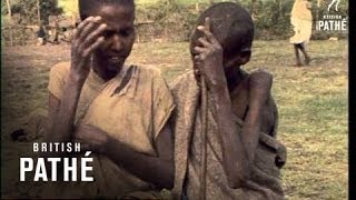 Ethiopian Famine 19701979 [upl. by Pruchno]