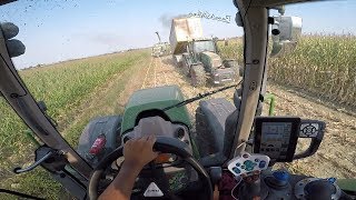 Fendt 716 Vario S4  Crosetto 4 assi amp Claas Jaguar 980 Type498  Corn Silage  View From The Driver [upl. by Llebpmac]